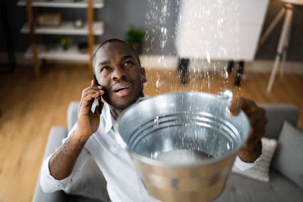 Reliable Jessup, MD Water damage restoration Solutions