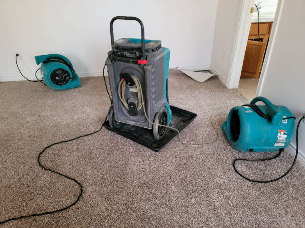Best Water damage restoration near me  in Jessup, MD