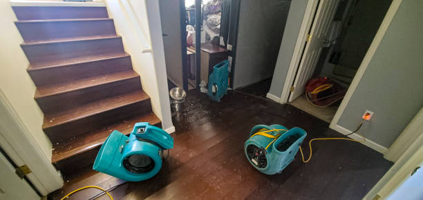 Carpet water damage restoration in Jessup, MD