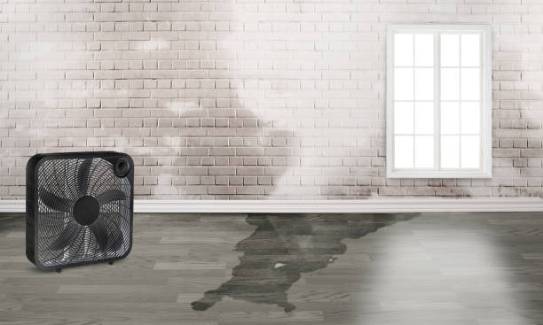 Best Commercial water damage restoration  in Jessup, MD