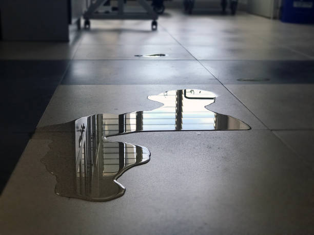 Best 24-hour water damage restoration  in Jessup, MD