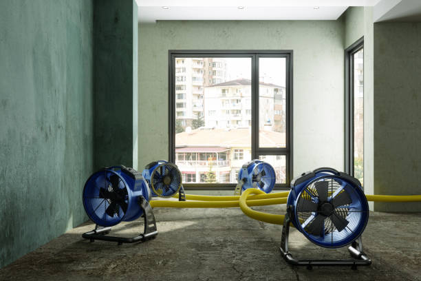 Best Water damage restoration near me  in Jessup, MD